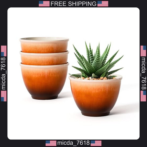 Pack inch glazed - 4,