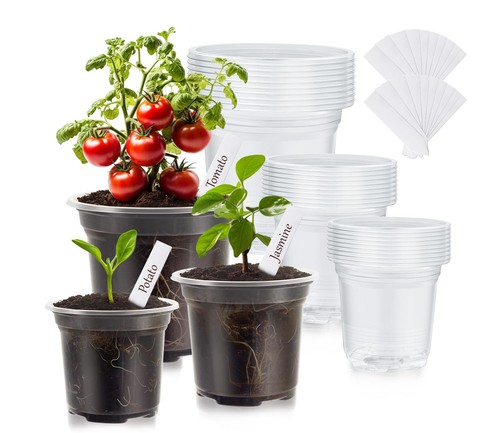 Pack clear nursery - pack,