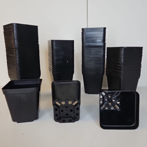Square plastic pots for - plastic,