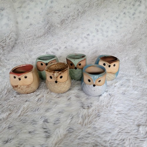 Owl ceramic succulent - owl,